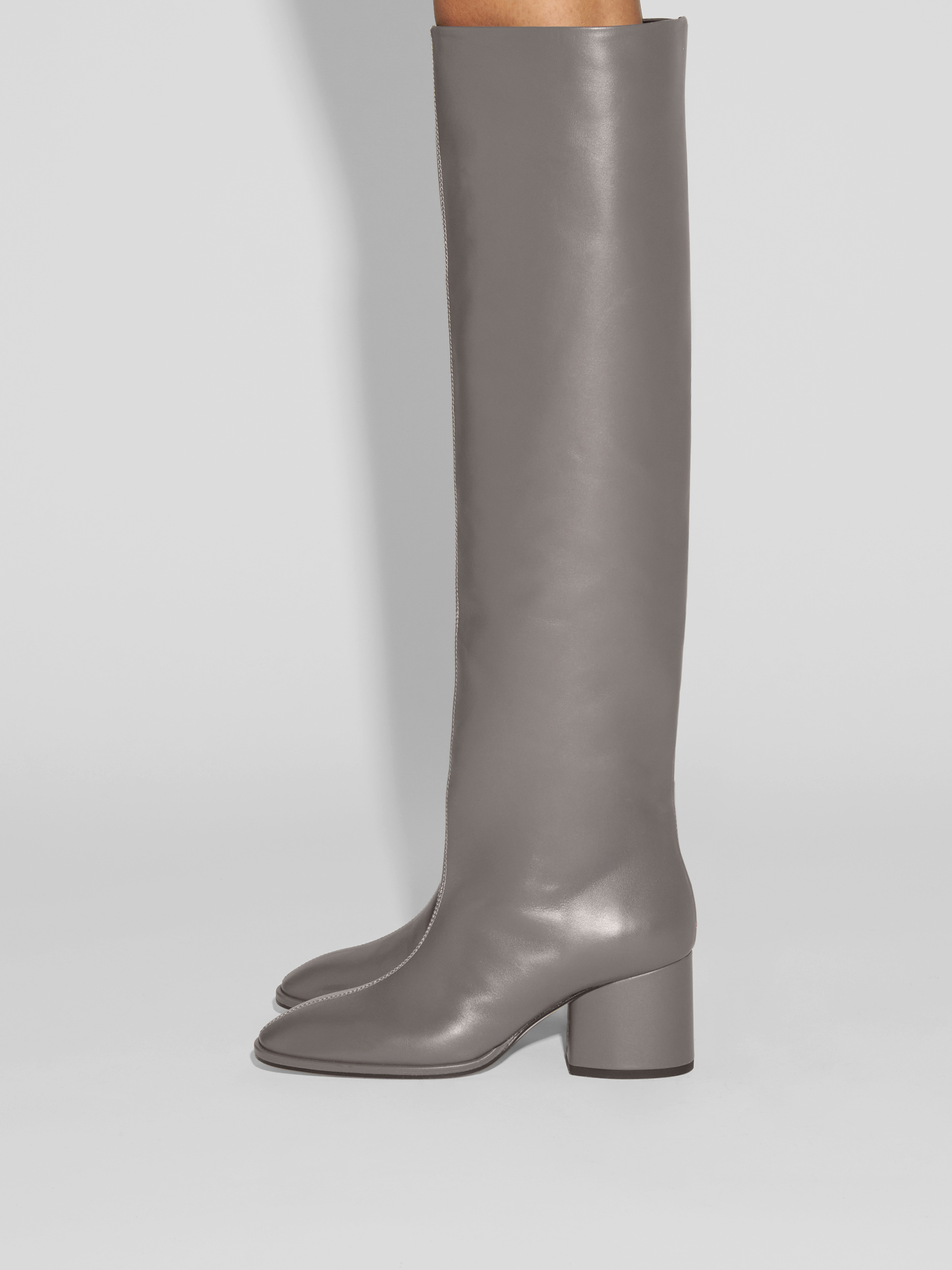 Aeyde | Almut Knee-High Boots Leather Knee High Boots for Women | Taupe Calf | Round Toe | Mid Heel | How to Style
