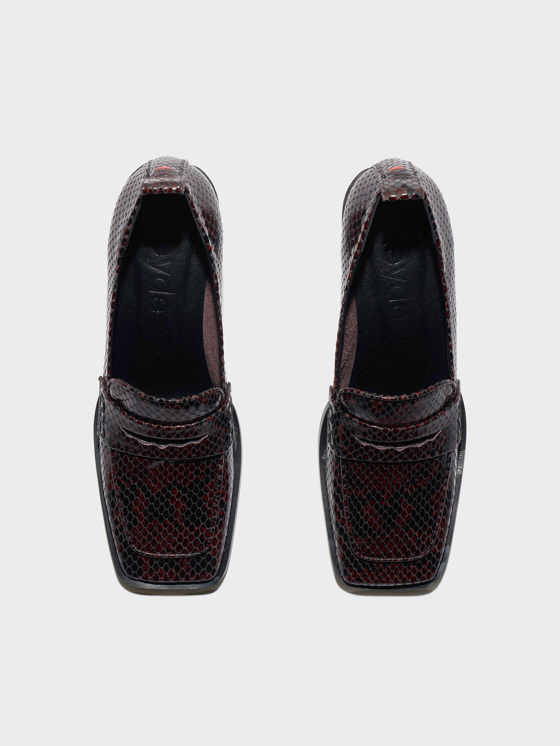 Aeyde | Anka Block-Heel Loafers Leather Pumps for Women | Port Snake | Square Toe | Mid Heel | Front View