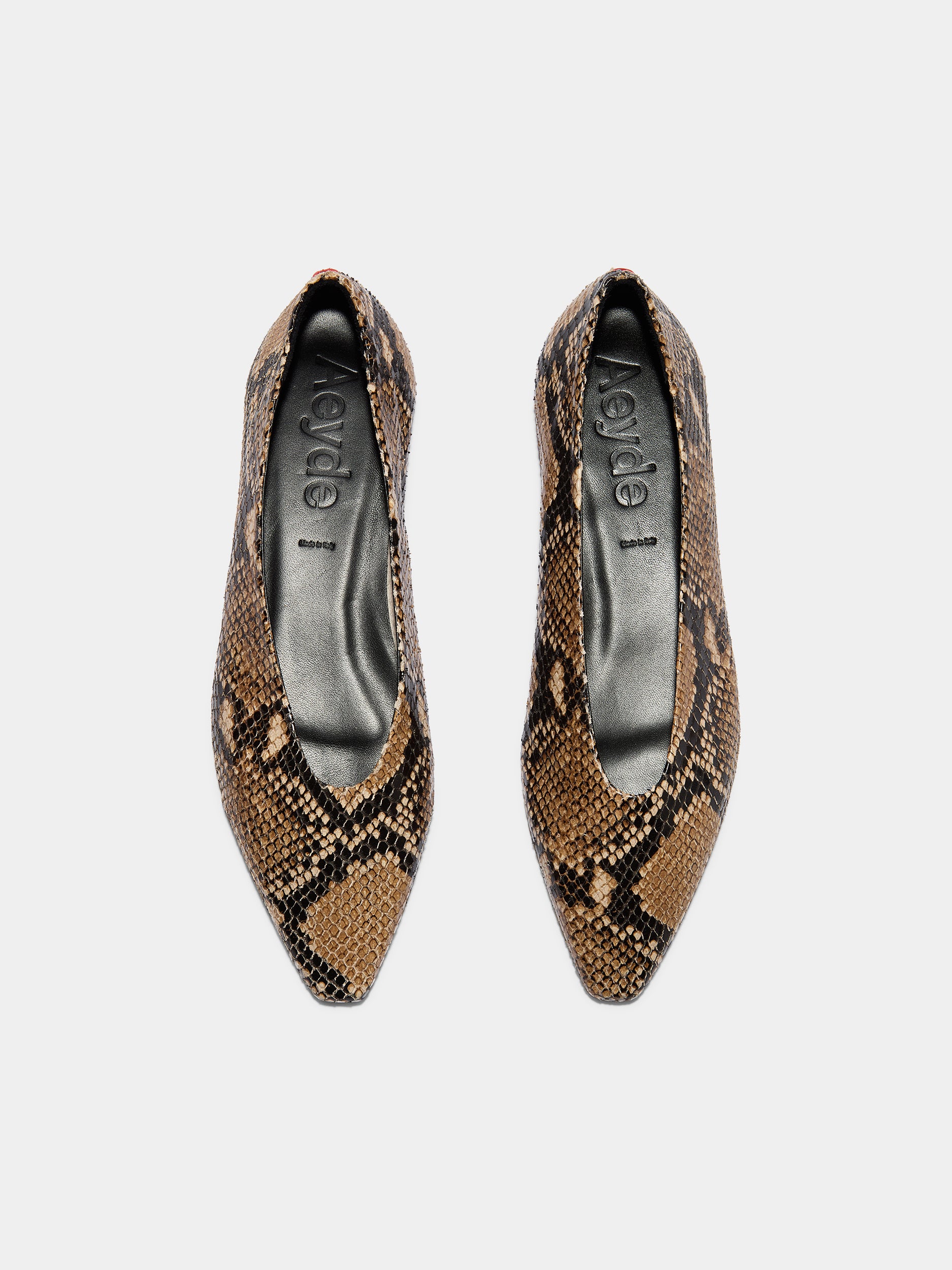 Aeyde | Betty Leather Flats for Women | Hazelnut Snake | Square Toe | Flat Heel | Front View