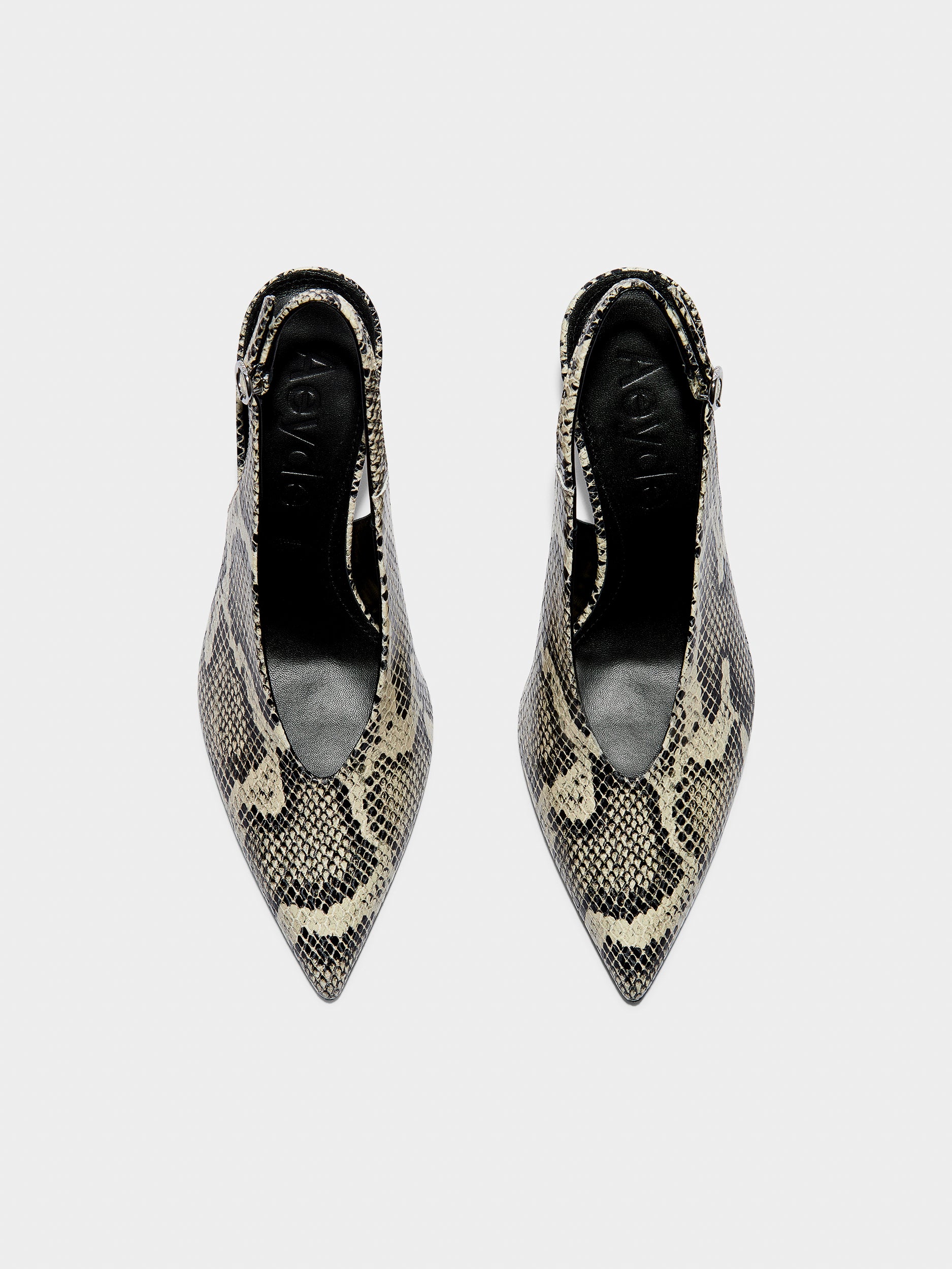 Aeyde | Carla Leather Pumps for Women | Creamy Snake | Pointed Toe | High Heel | Front View