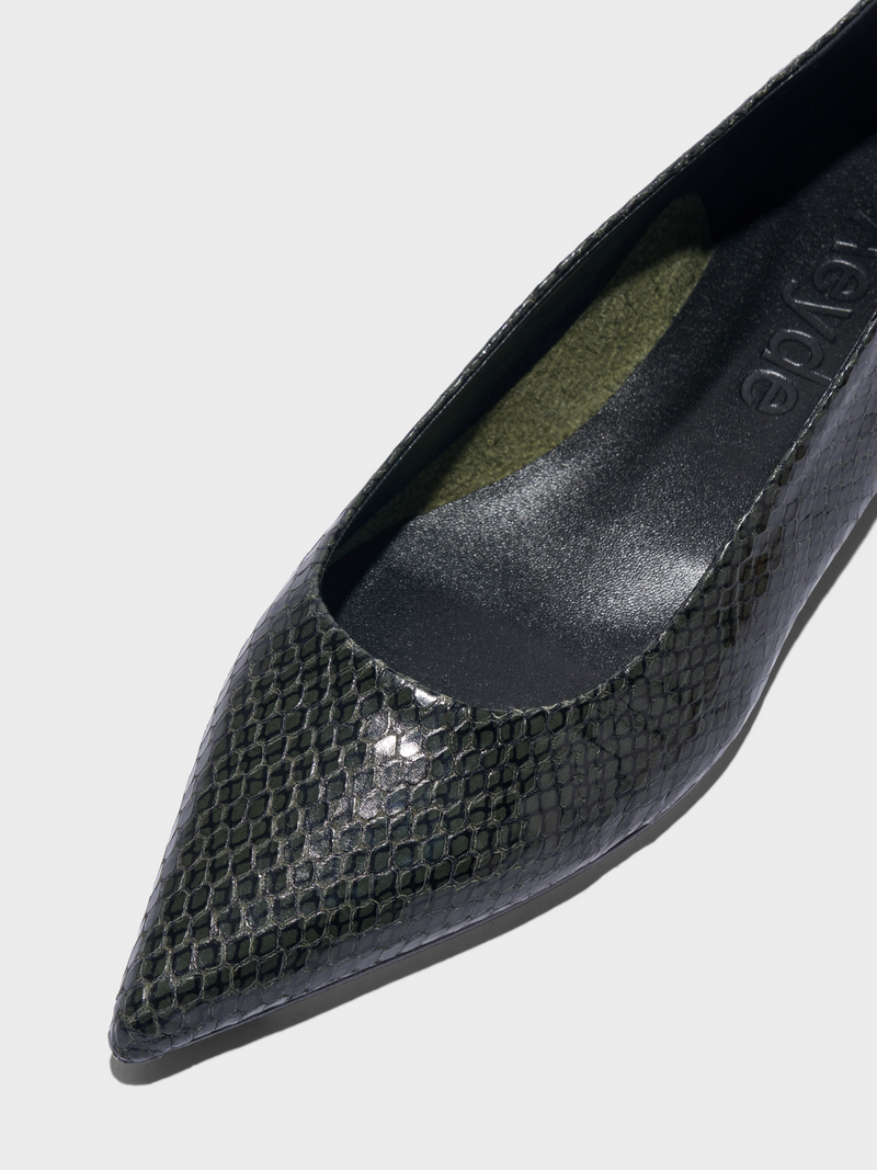 Cassy Pointed-Toe Flats