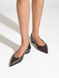 Cassy Pointed-Toe Flats