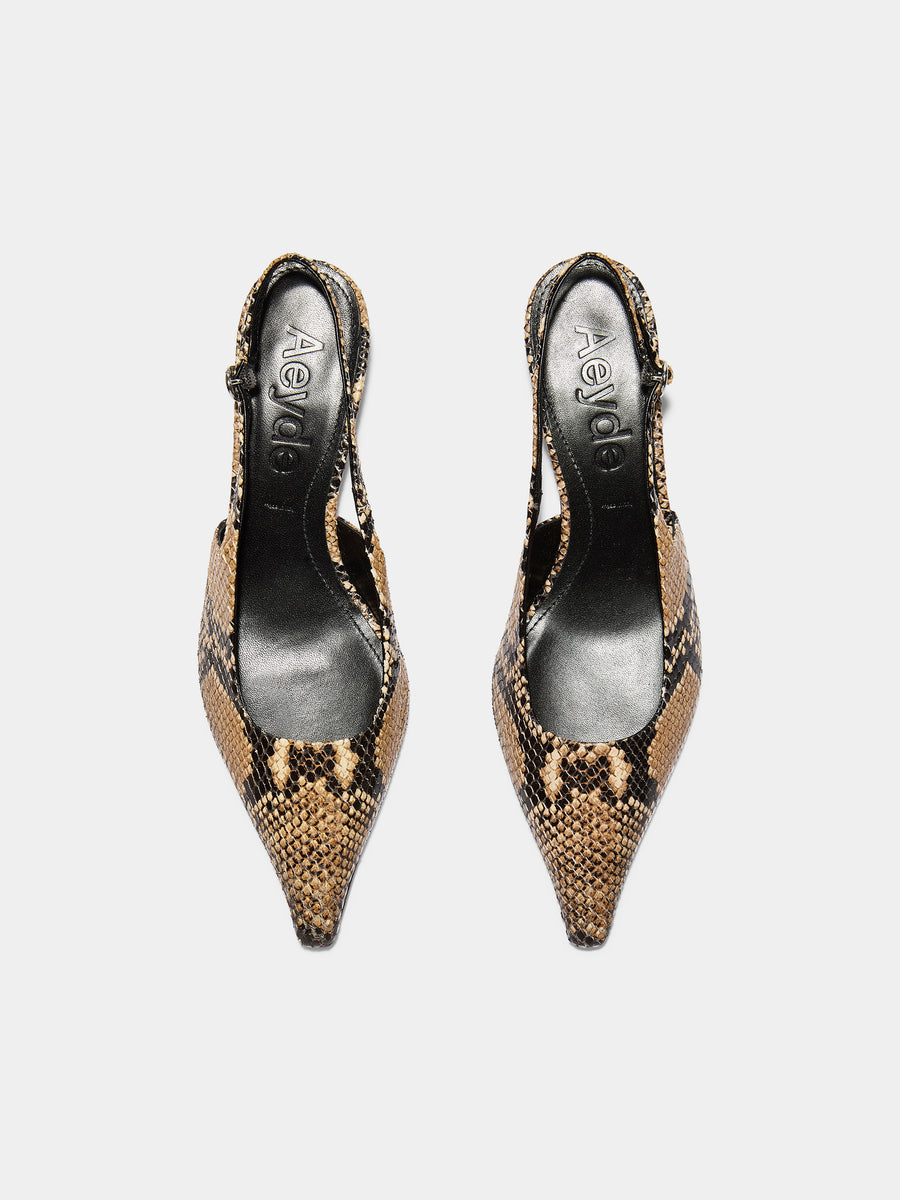 Aeyde | Catrina Leather Pumps for Women | Hazelnut Snake | Pointed Toe | Mid Heel | Front View