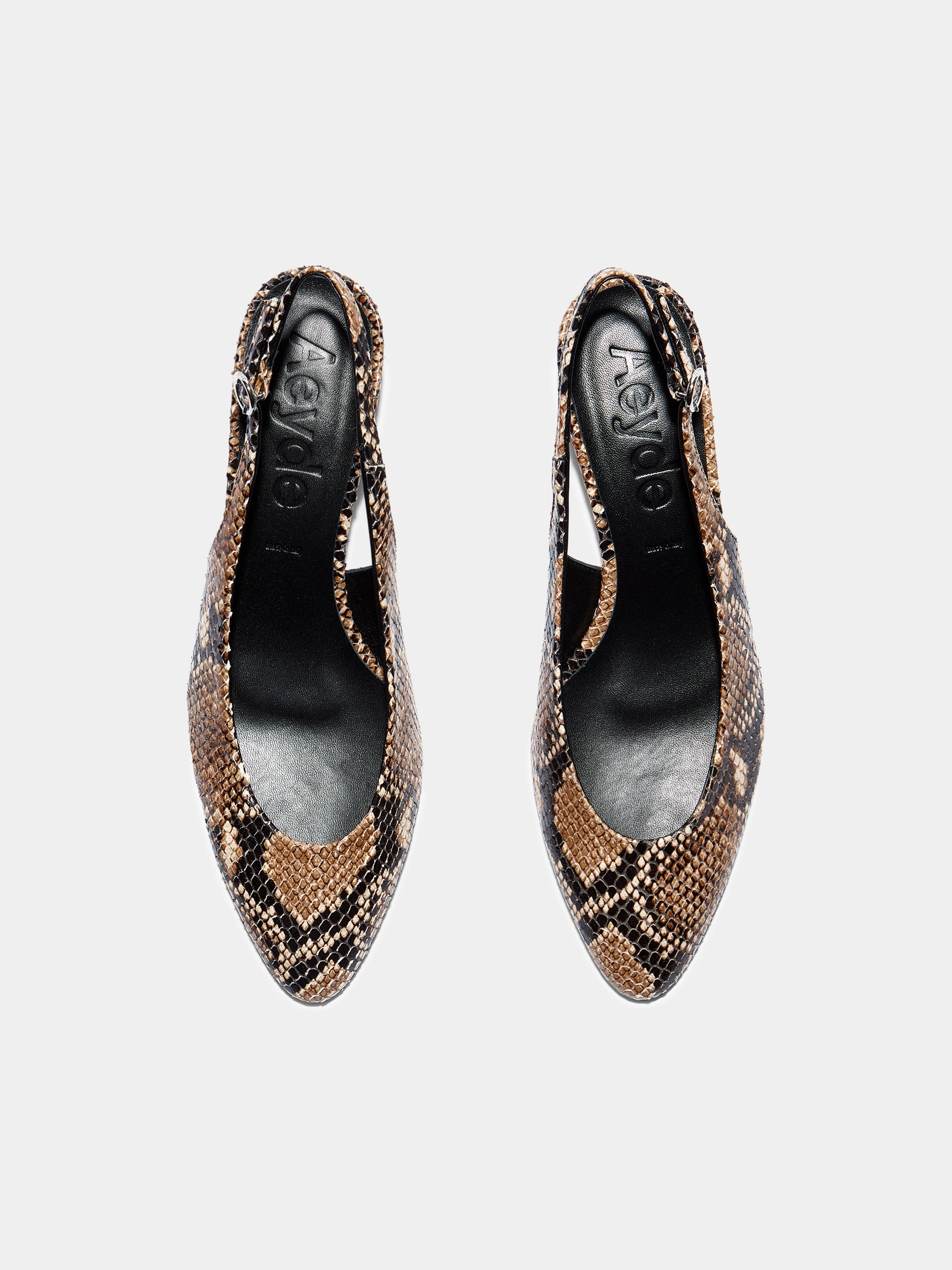 Aeyde | Celeste Leather Pumps for Women | Hazelnut Snake |  | Mid Heel | Front View