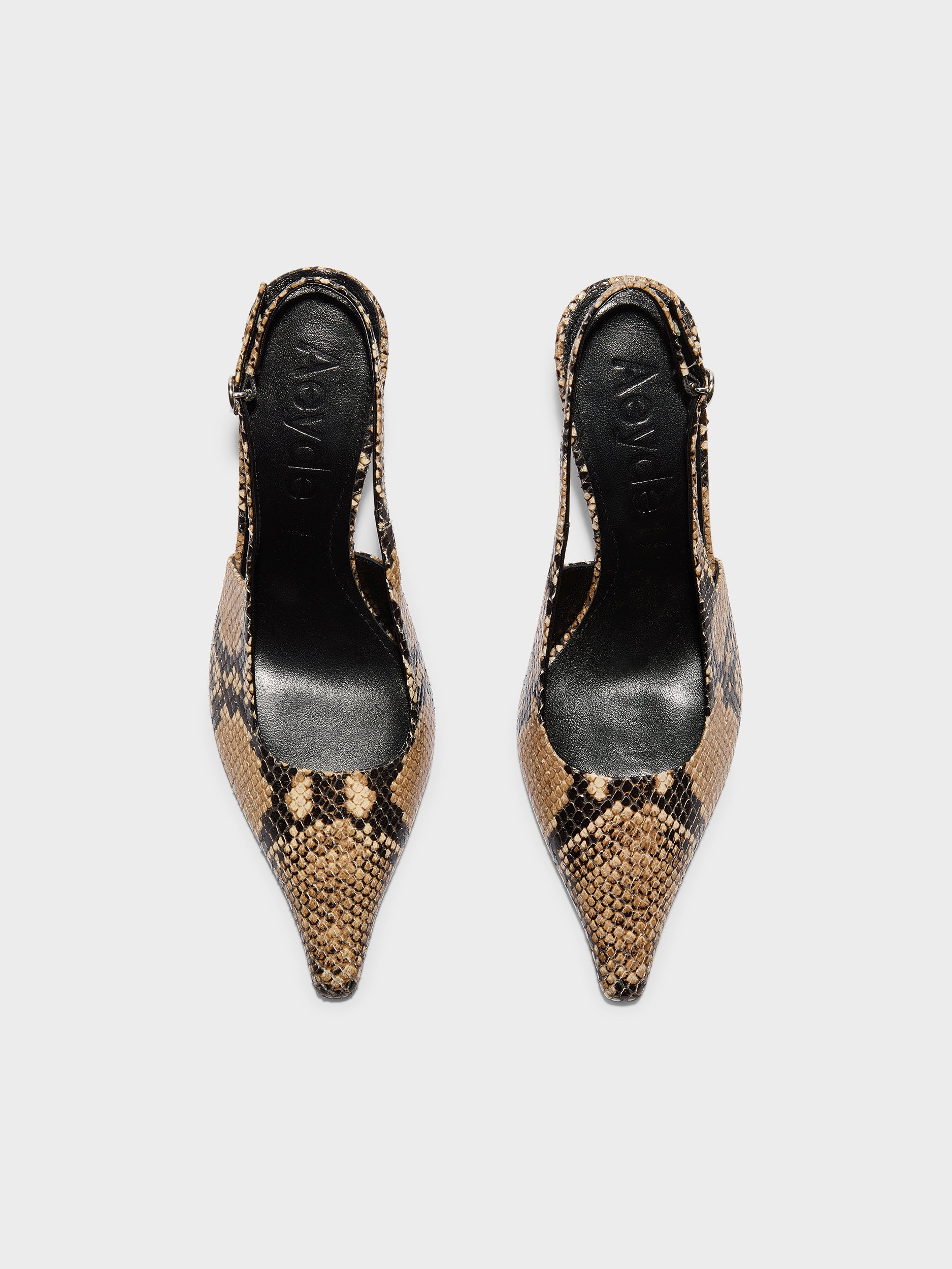 Aeyde | Fernanda Leather Pumps for Women | Hazelnut Snake | Pointed Toe | High Heel | Front View