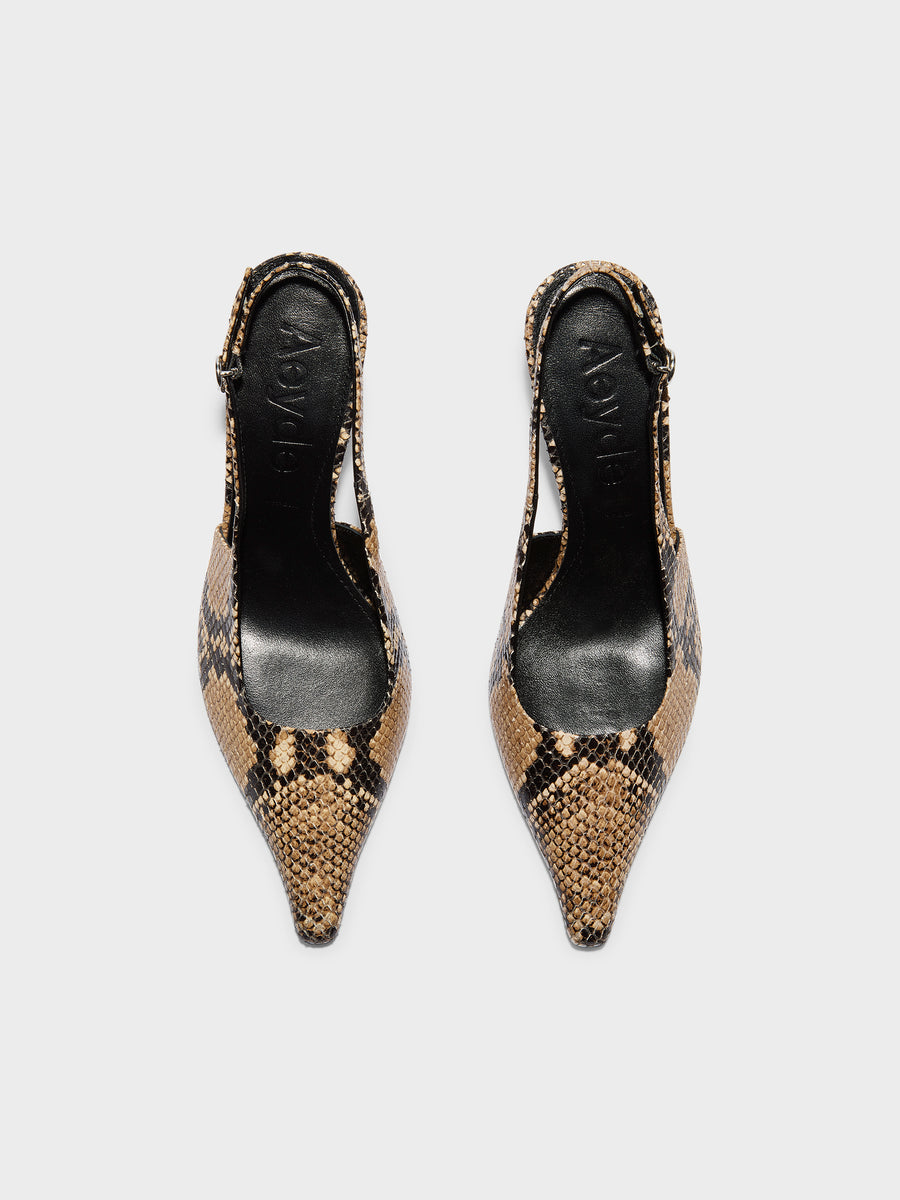 Aeyde | Fernanda Leather Pumps for Women | Hazelnut Snake | Pointed Toe | High Heel | Front View