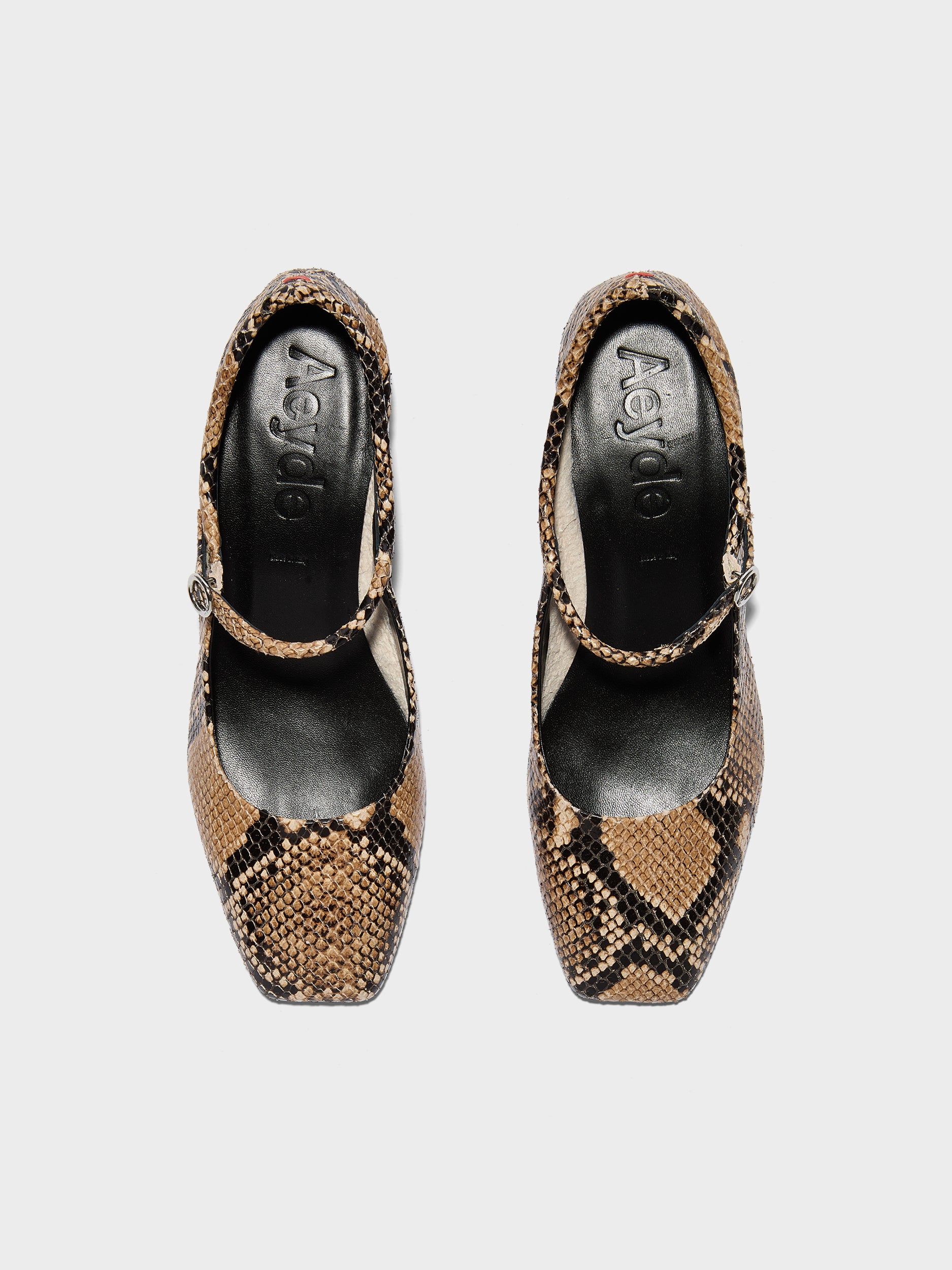 Aeyde | Lina Leather Pumps for Women | Hazelnut Snake | Square Toe | Low Heel | Front View