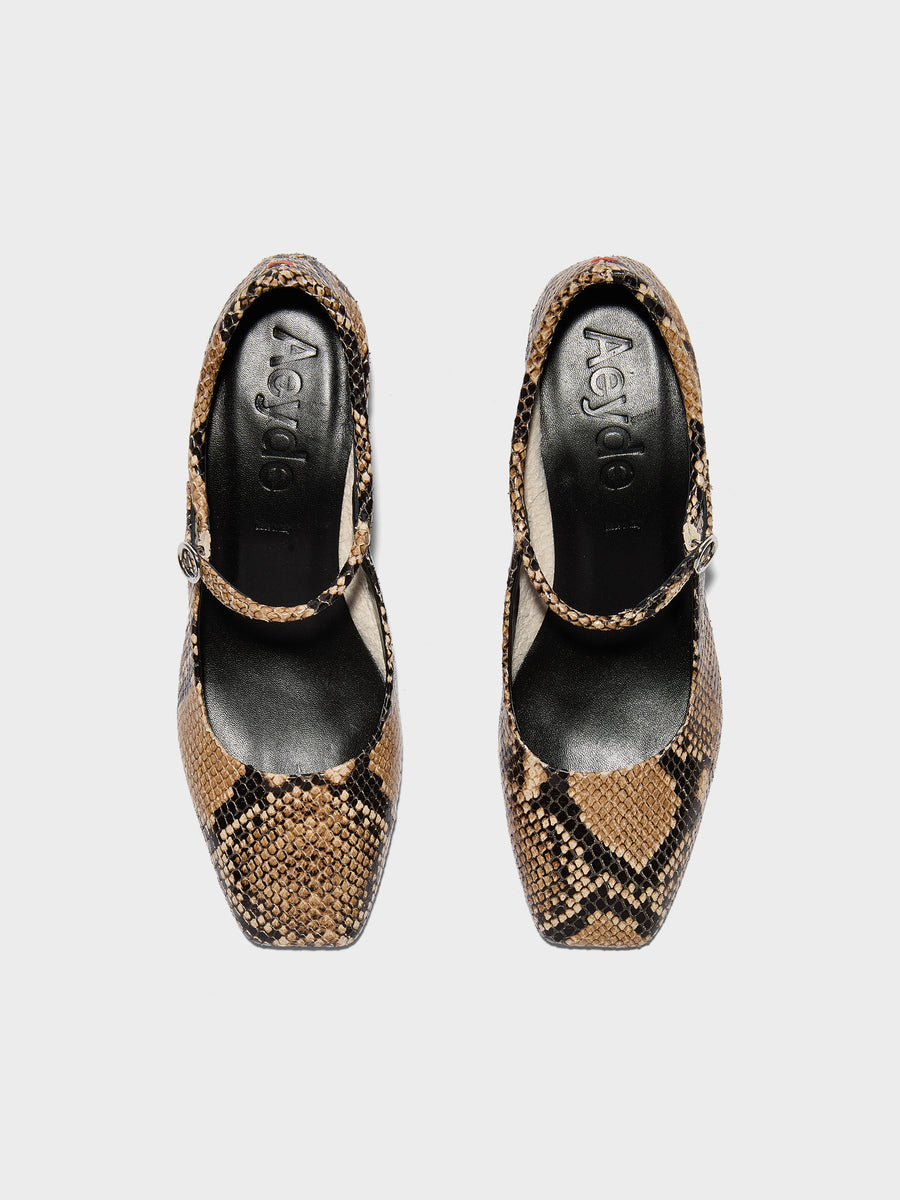 Aeyde | Lina Leather Pumps for Women | Hazelnut Snake | Square Toe | Low Heel | Front View