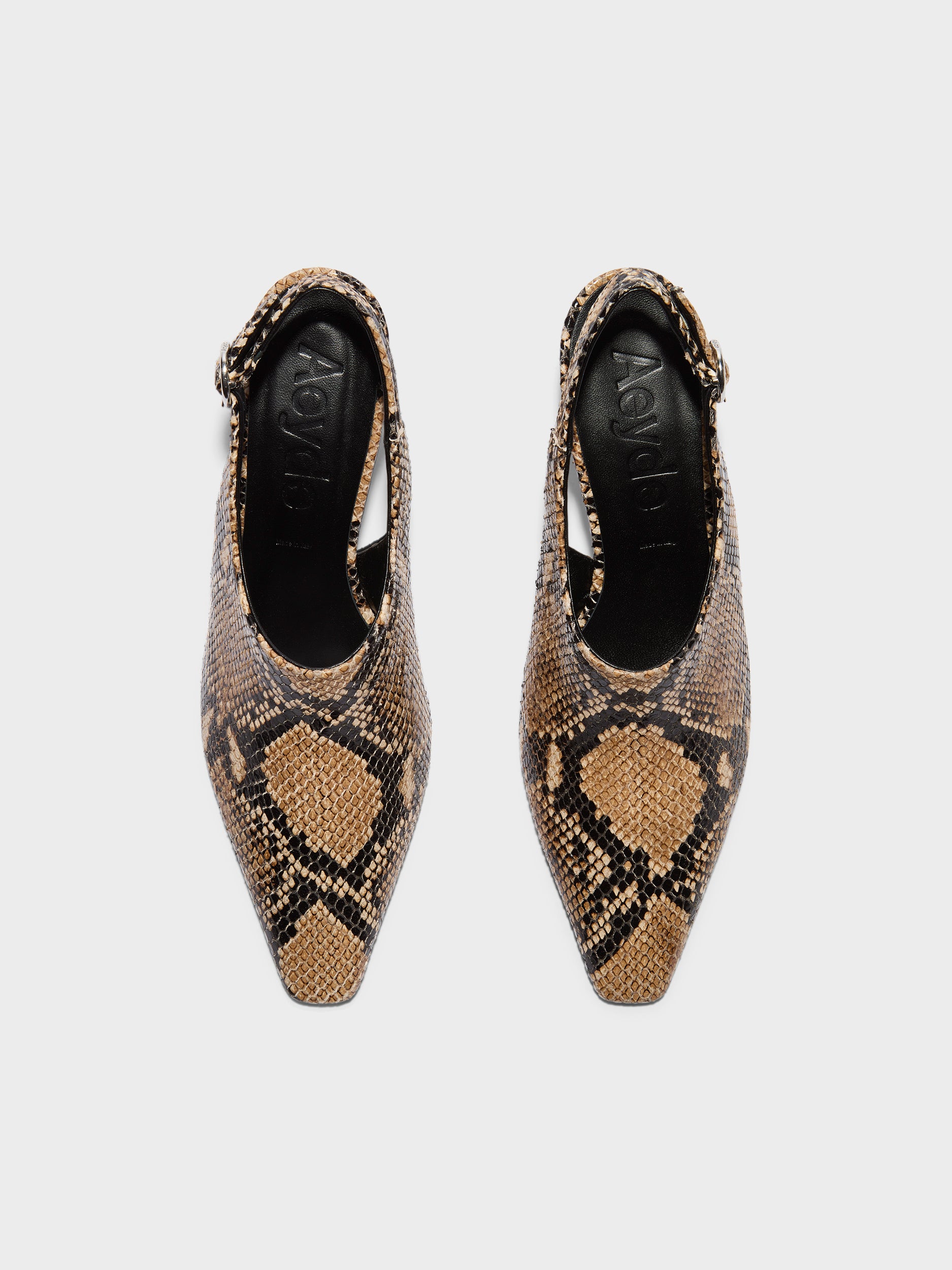 Aeyde | Maude Leather Pumps for Women | Hazelnut Snake | Square Toe | High Heel | Front View