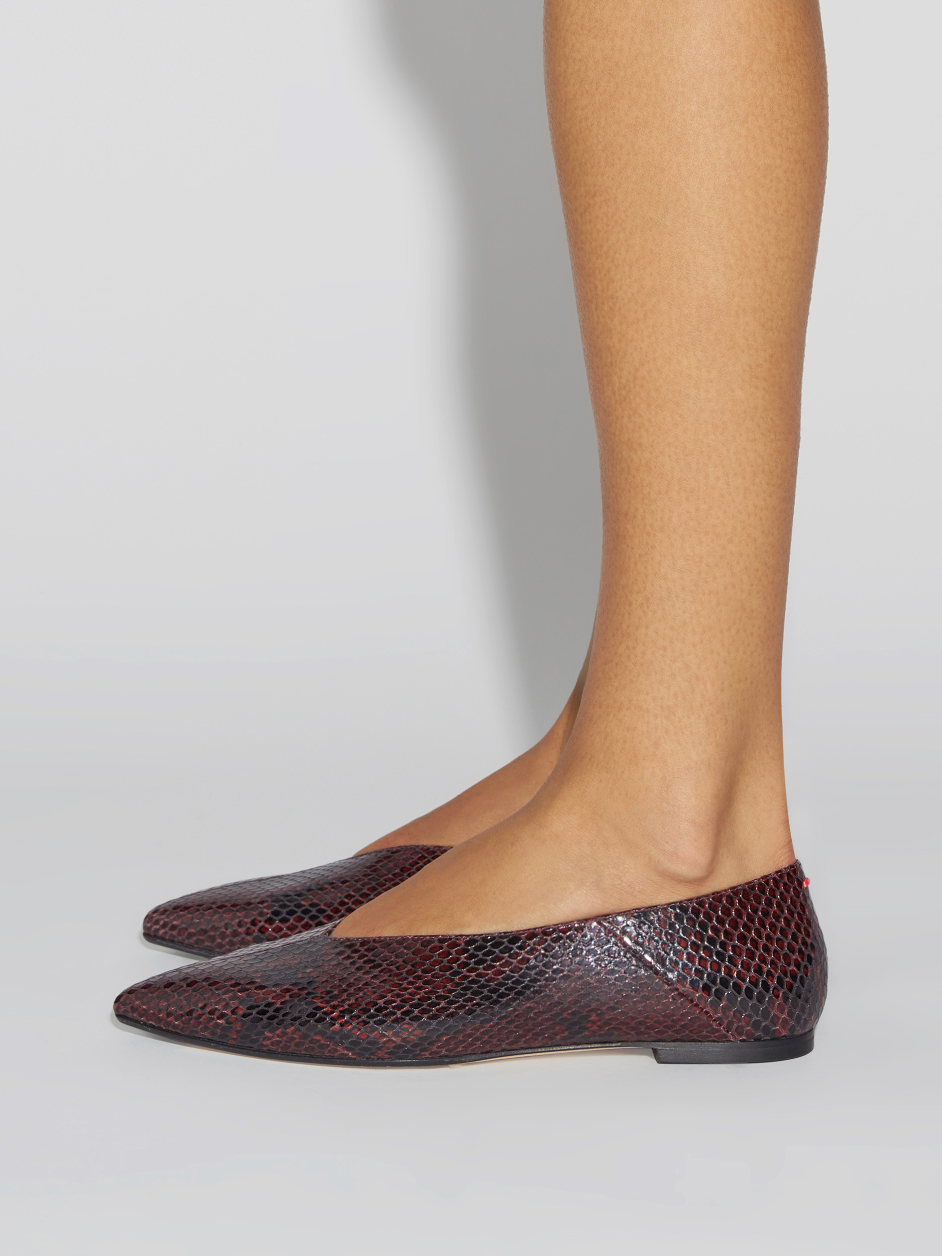 Aeyde | Moa Pointed-Toe Flats Leather Flats for Women | Port Snake | Pointed Toe | Flat Heel | How to Style