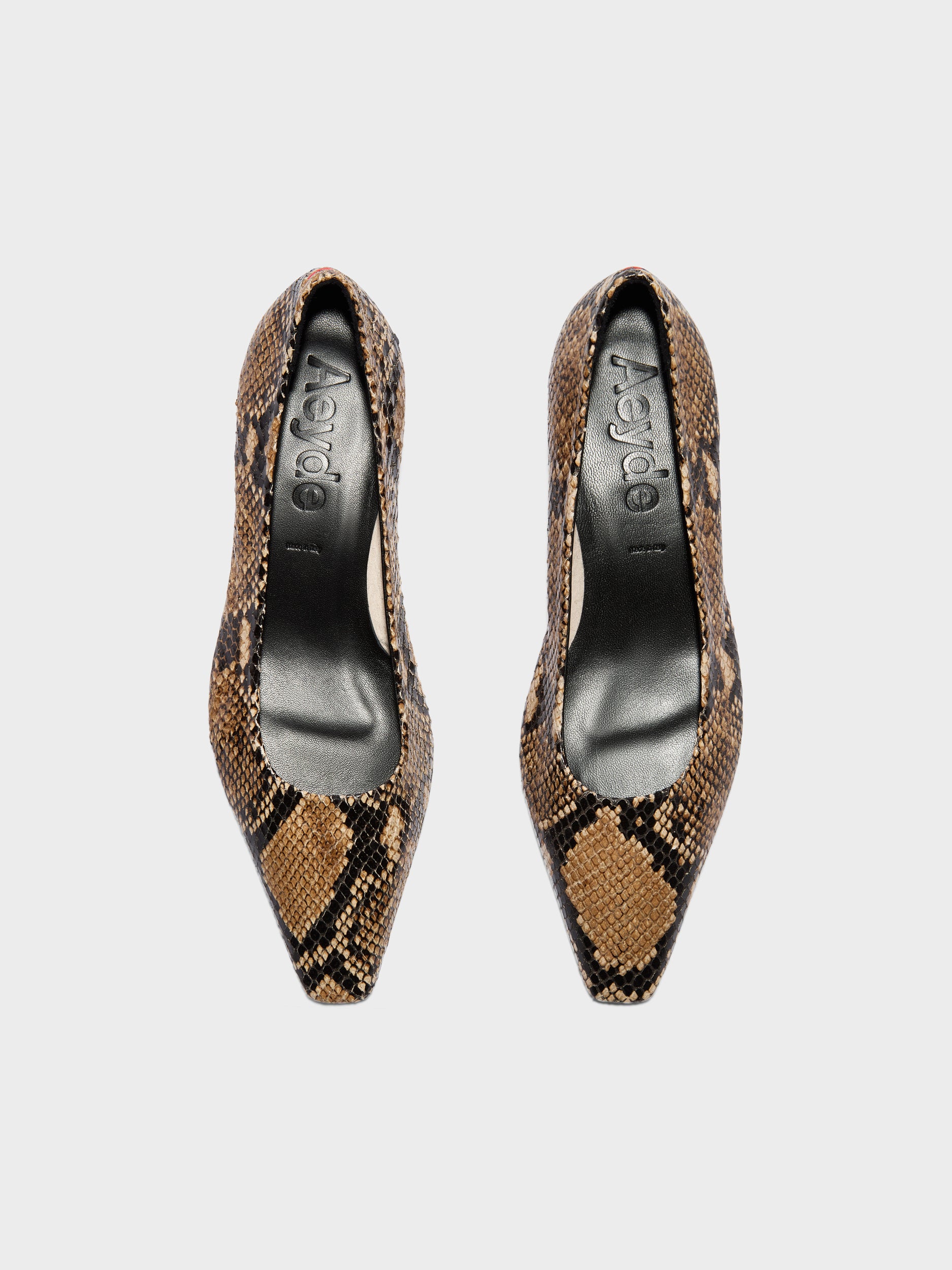 Aeyde | Rory Leather Pumps for Women | Hazelnut Snake | Square Toe | Mid Heel | Front View