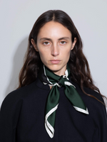 Soli Silk Scarf - Image 4