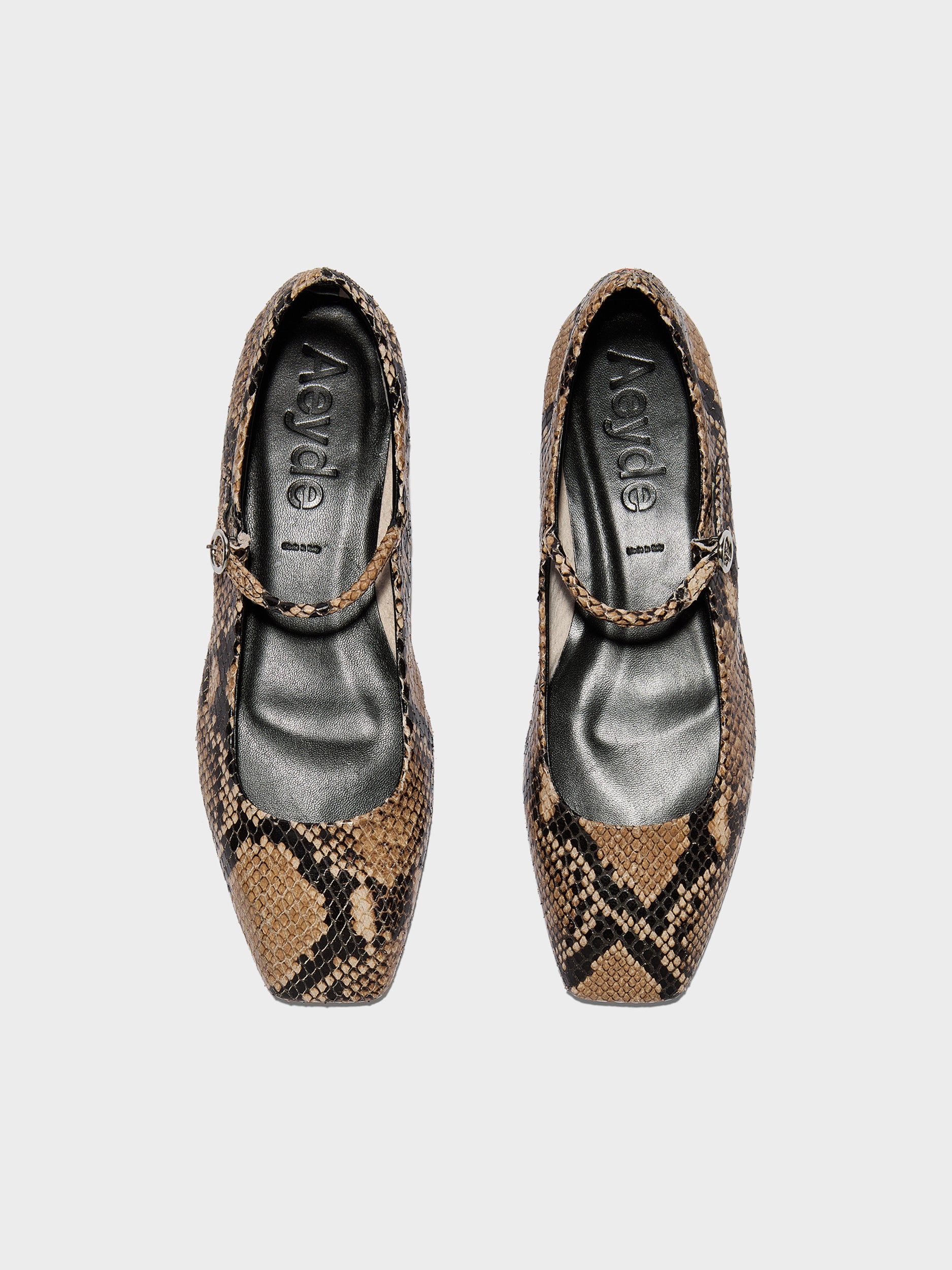 Aeyde | Uma Leather Flats for Women | Hazelnut Snake | Square Toe | Flat Heel | Front View
