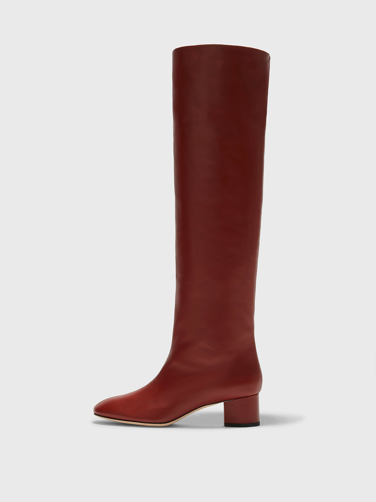 Aeyde | Willa Leather Over-Knee Boots Leather Knee High Boots for Women | Rust Calf | Round Toe | Mid Heel | Side View