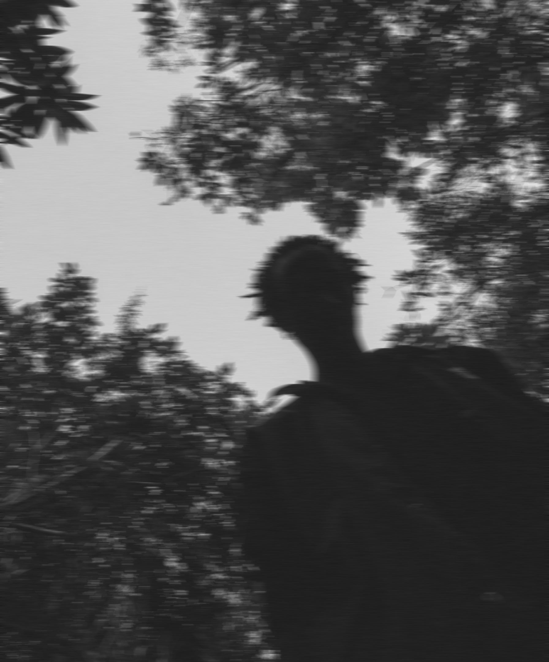 Description of the image