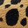 Cassy Leopard Ballet Flats