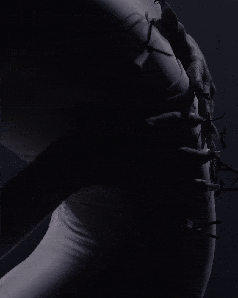 Description of the image