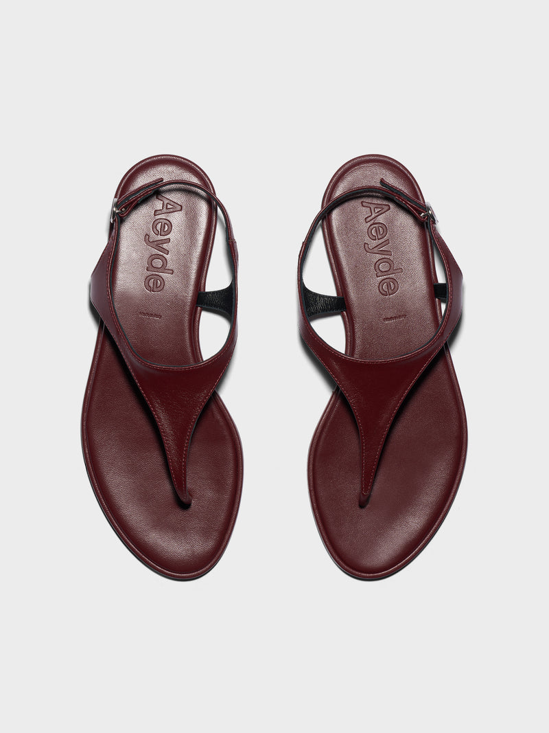 Raine Thong Sandals